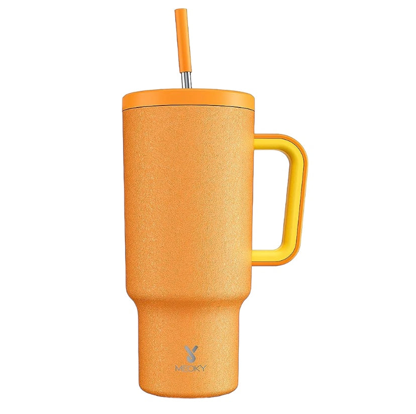 Travel Stainless Steel Mug